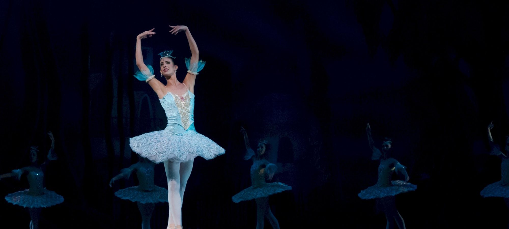 ballet-ballerina-performance-don-quixote-46158.jpeg